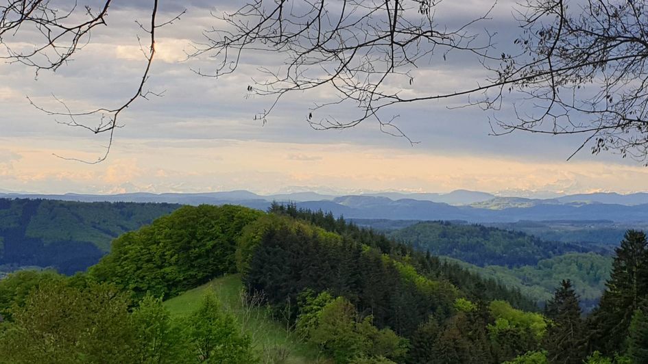 Endenburg von Bianka Forsthuber