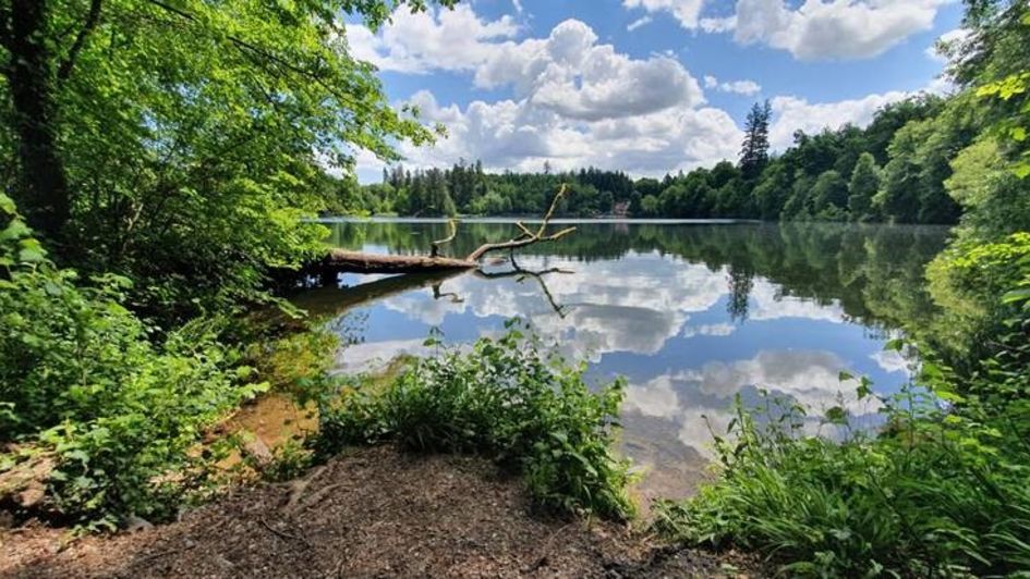 Bergsee Bad Säckingen von Celine Rohne