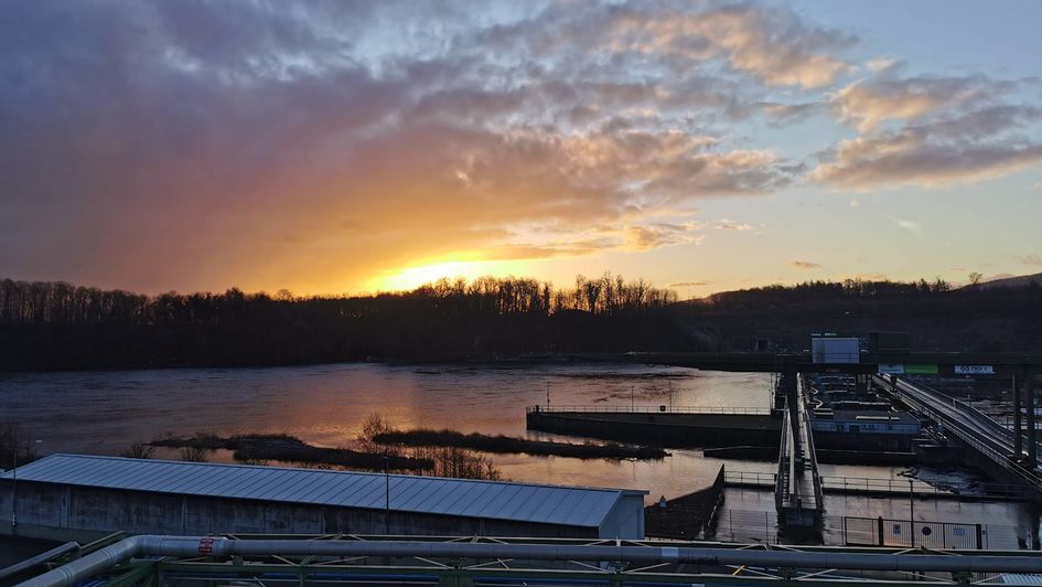 Der Rhein bei Sonnenaufgang von Anne-Sophie Pradel