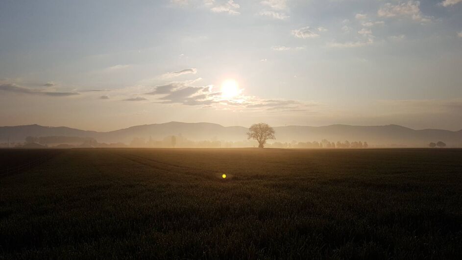 Dossenheim von Carsten Kropp